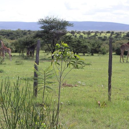 Hotel Kambu Mara Camp à Sekenani Extérieur photo